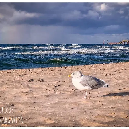 Balticus Playa Margarita