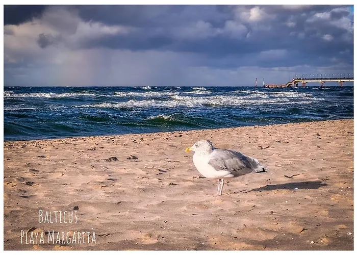 Balticus Playa Margarita